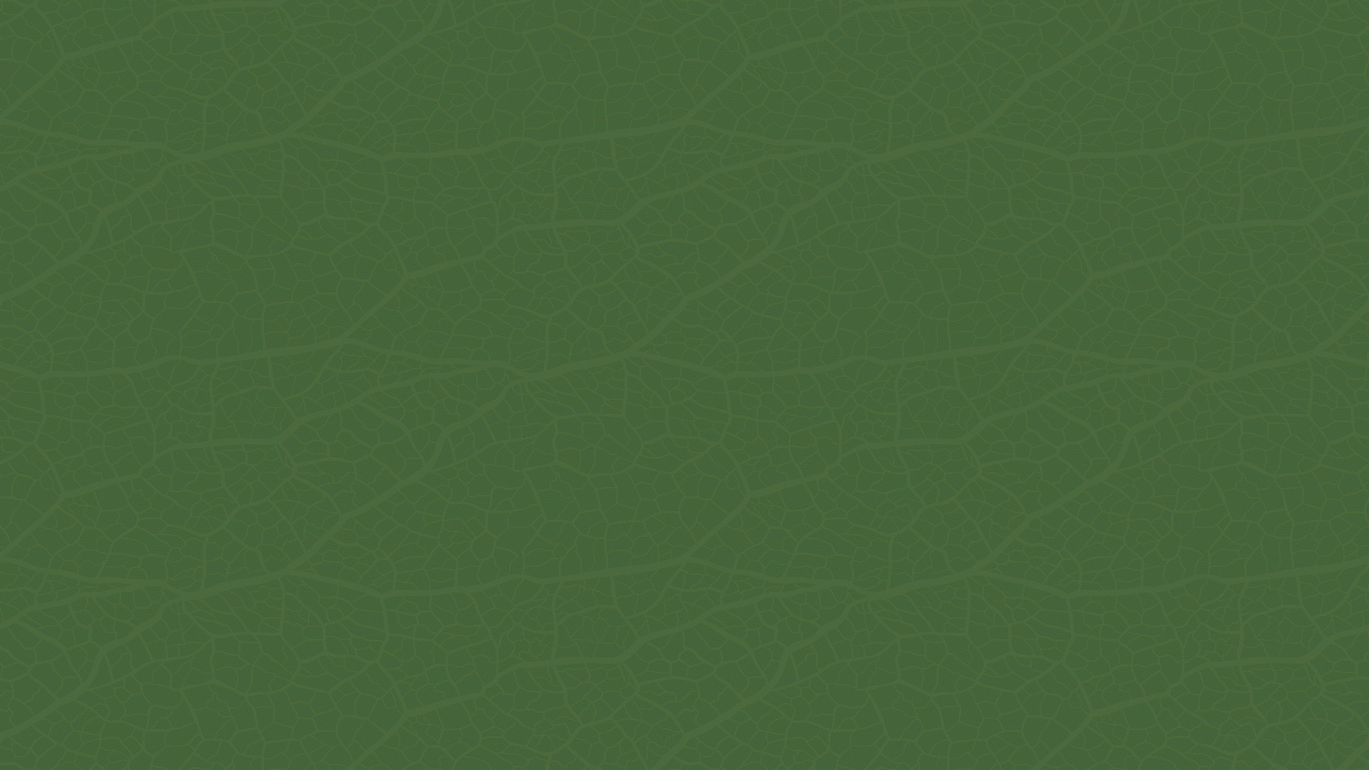 Braverde logo animation